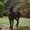 Photo of Vickie F.