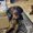 Photo of Maritza V.