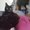Photo of Cat R.