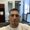 Photo of Jason B.