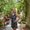 Photo of Carole Ann W.