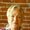 Photo of Karen B.
