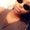 Photo of Keyci M.