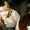 Photo of Nicole S.
