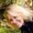 Photo of Ann P.