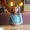 Photo of Kelvin R.
