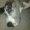 Photo of Denice V.
