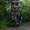 Photo of Koa M.