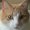 Photo of Sandy T.