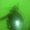 Photo of Jit S.