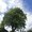 Photo of Qype User (Squash…)