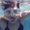 Photo of Tara M.
