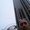 Photo of Tomer A.