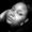 Photo of Tamika W.