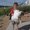 Photo of Cindy N.