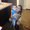 Photo of Sawi I.