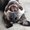 Photo of Zoey N.
