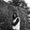 Photo of Shruthi P.