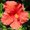 Photo of Marie C.