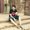 Photo of Swadeesh S.