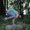 Photo of Alethia G.