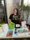 Photo of Lisa N.