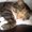Photo of Qype User (dave-a…)
