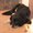 Photo of Daisy R.