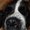 Photo of Olive G.