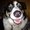 Photo of Cindy M.