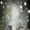 Photo of Shadowdragnwitch W.