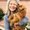 Photo of Debbie N.