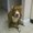 Photo of Foxy L.