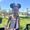 Photo of myha D.