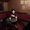 Photo of Koichi N.