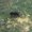 Photo of Wayonia B.