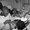 Photo of Willie W.