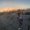 Photo of Verena H.