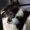 Photo of Chloe L.