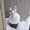 Photo of Dalia T.