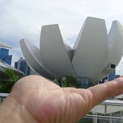 google avatar