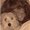 Photo of Sheryl S.