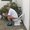 Photo of Qype User (Baboon…)