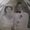Photo of Karen S.