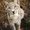 Photo of Cat F.