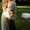 Photo of Chelseah C.