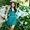 Photo of Janine P.