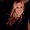 Photo of Rebekah S.