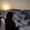 Photo of Roocha P.