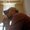 Photo of Rodolfo V.